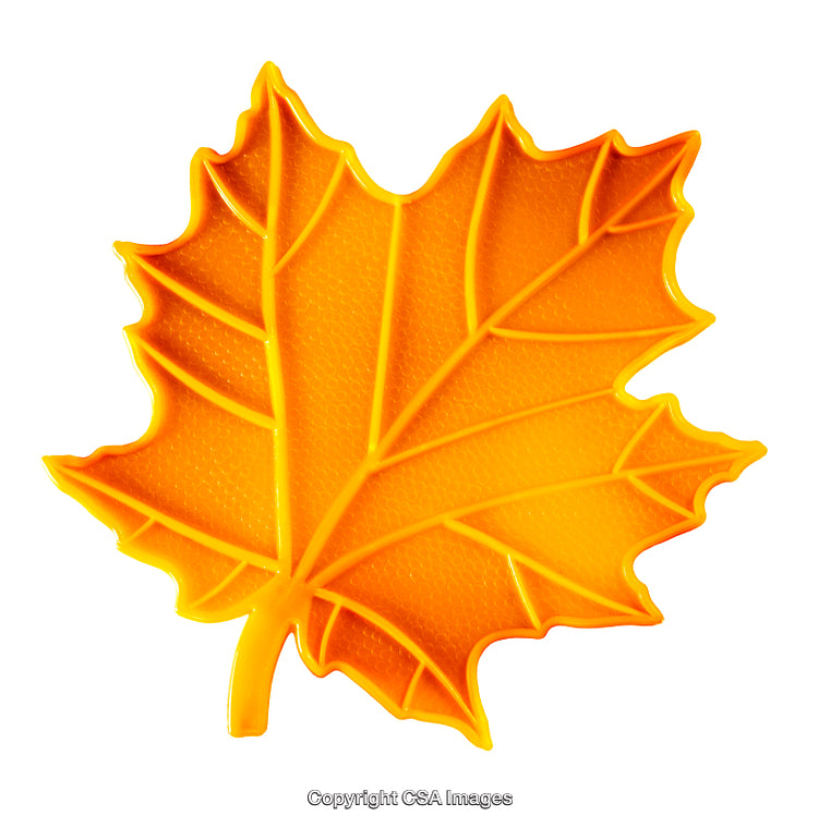 Bright Orange Plastic Leaf Shaped Toy with Textured Design on White Background