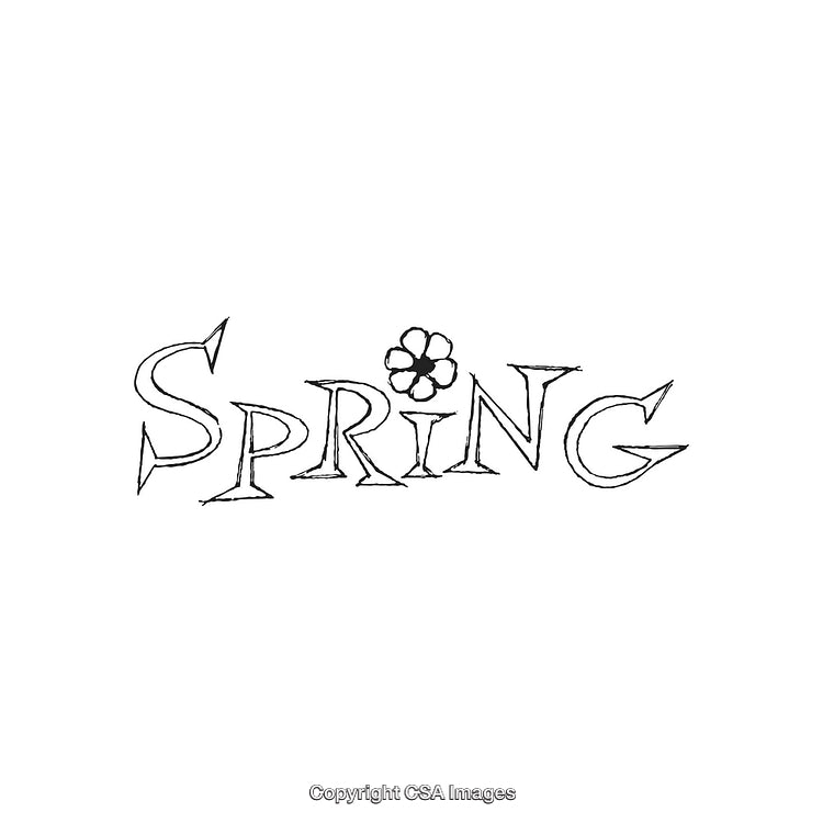 Hand-Drawn Spring Illustration with Unique Font and Floral Design