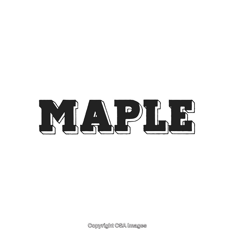 Bold Black Vintage Typeface Displaying the Word Maple on White Background