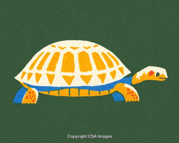 Abstract Colorful Turtle Illustration Featuring Geometric Patterns and Vibrant Design