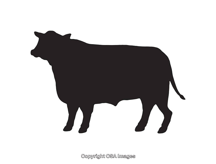 Black Silhouette of a Cow on a White Background