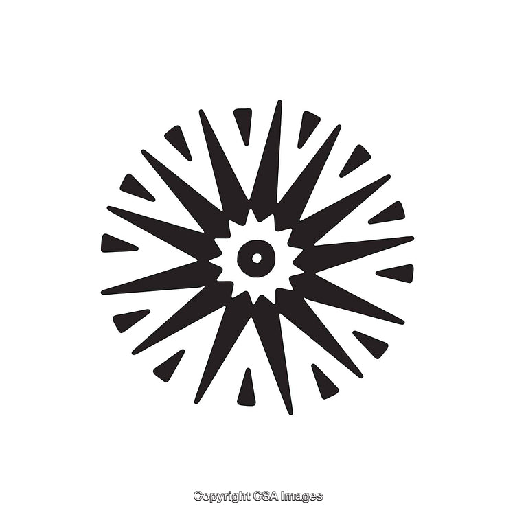 Abstract Black and White Radiant Starburst Design on White Background