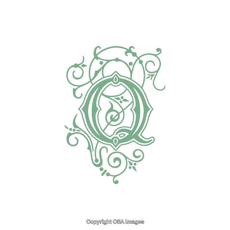 Elegant Decorative Letter Q with Intricate Floral-Ornamental Patterns