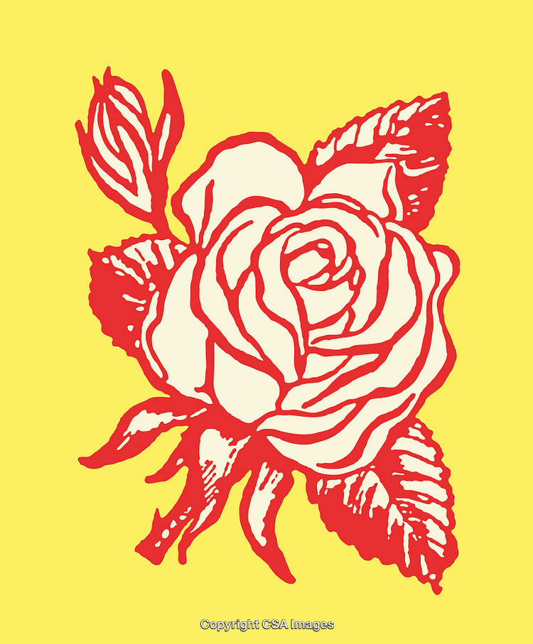 Colorful Floral Line Art Illustration of a Rose on Yellow Background