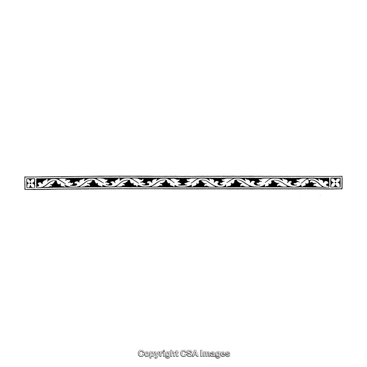 Elegant Black and White Border with Ornamental Floral Design