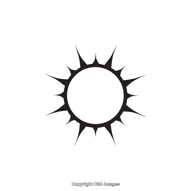 Black and White Circular Spiked Shape Icon