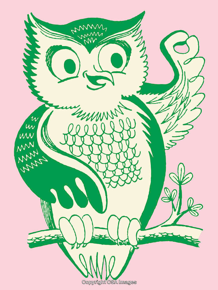 Illustration of a Cartoon Owl Perched on a Branch with Green Details