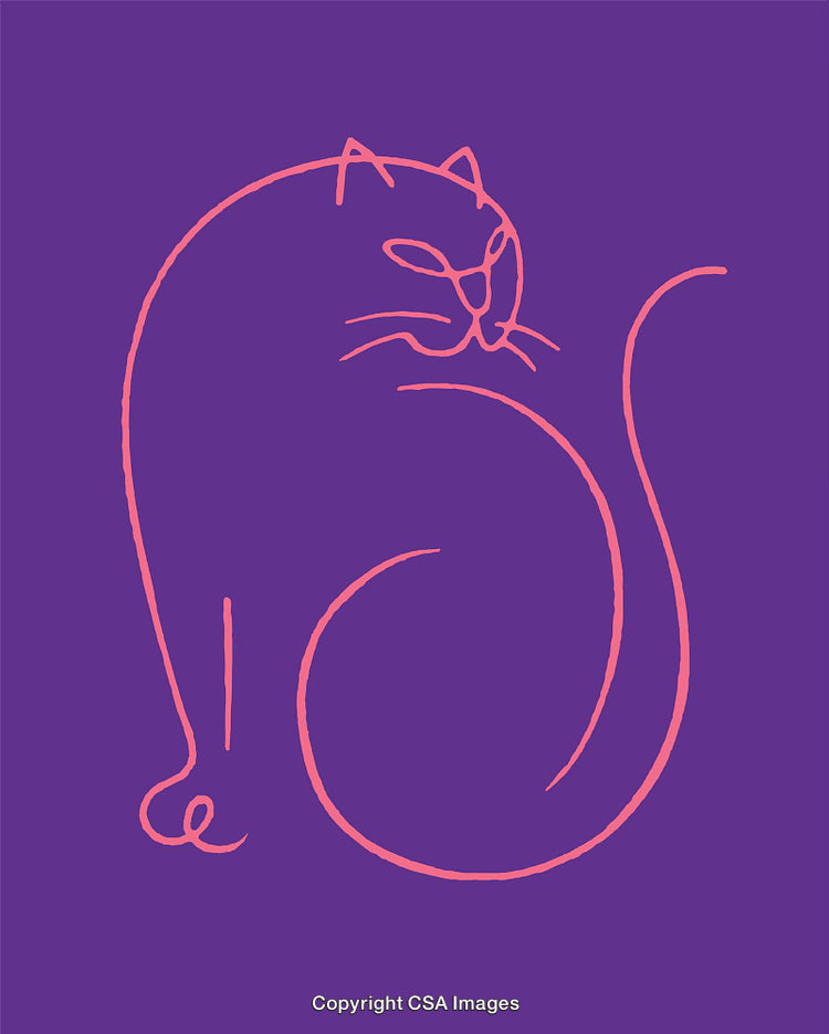 Minimalist Line Art Illustration of a Cat on Vibrant Background