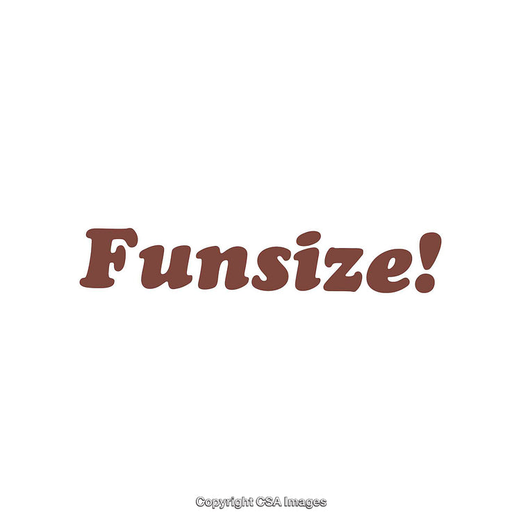 Bold Brown Funsize Text on White Background with Simple Styling