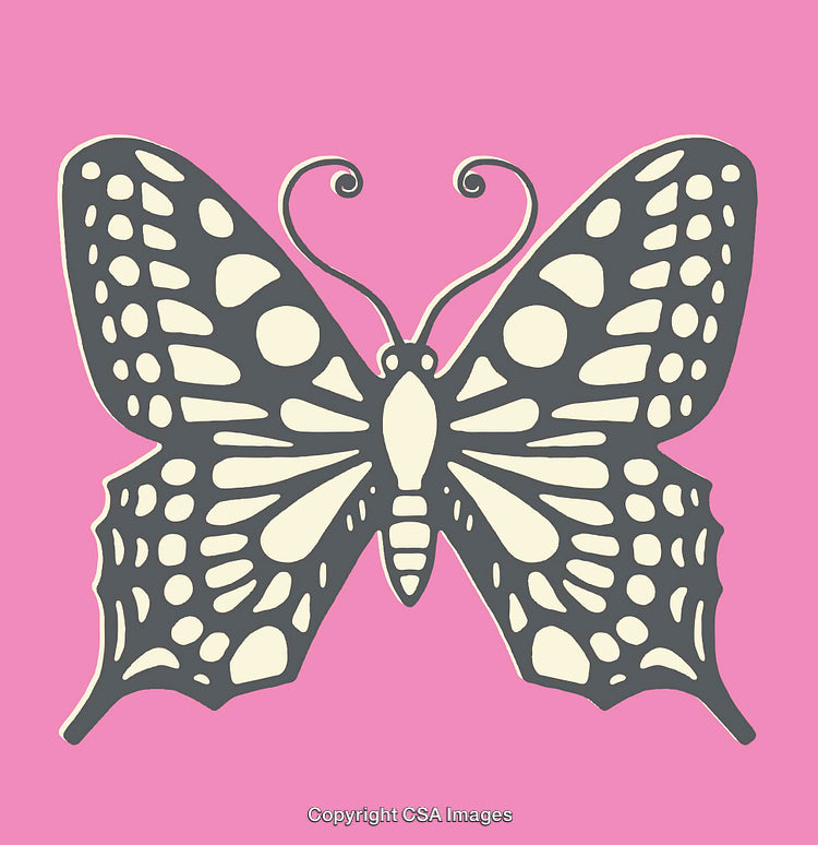 Colorful Butterfly Illustration on a Pink Background in Graphic Style Art