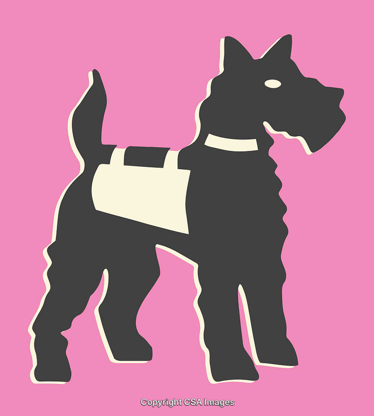 Minimalist Illustration of a Terrier Dog Against Pink Background