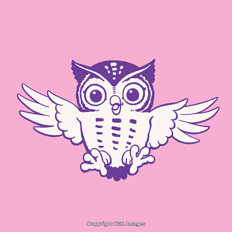 Cute Owl Line Art Illustration on a Pink Background