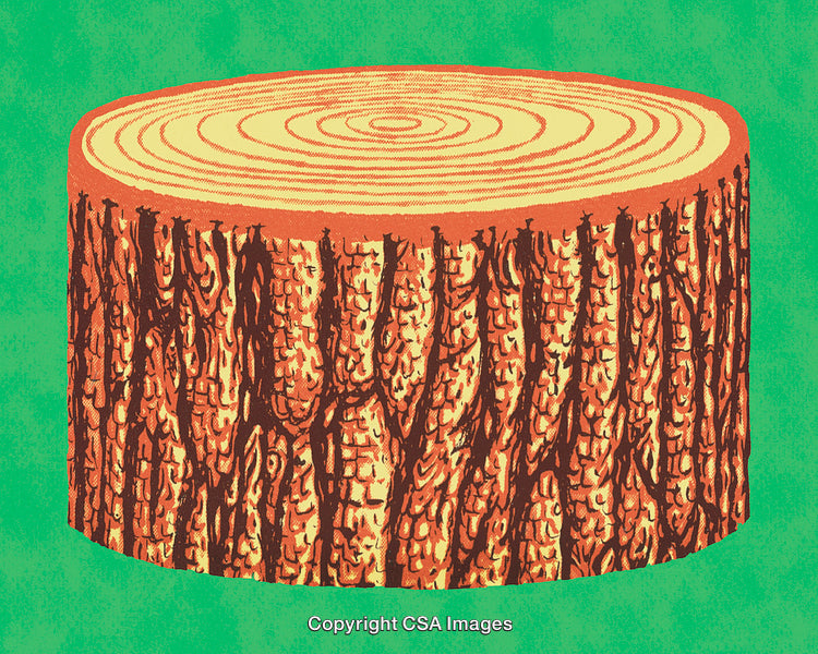 Detailed Illustration of a Tree Log on a Vibrant Green Background