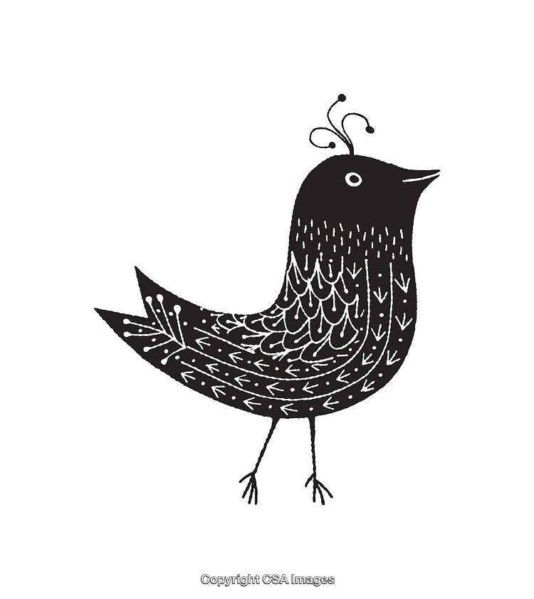 Black and White Bird Illustration with Intricate Design Patterns