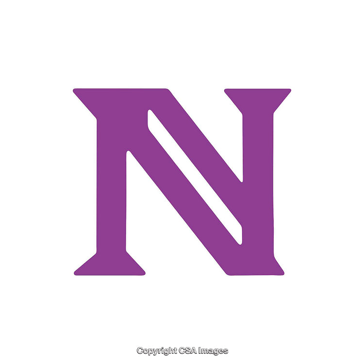 Purple Letter N Isolated on a Clean White Background