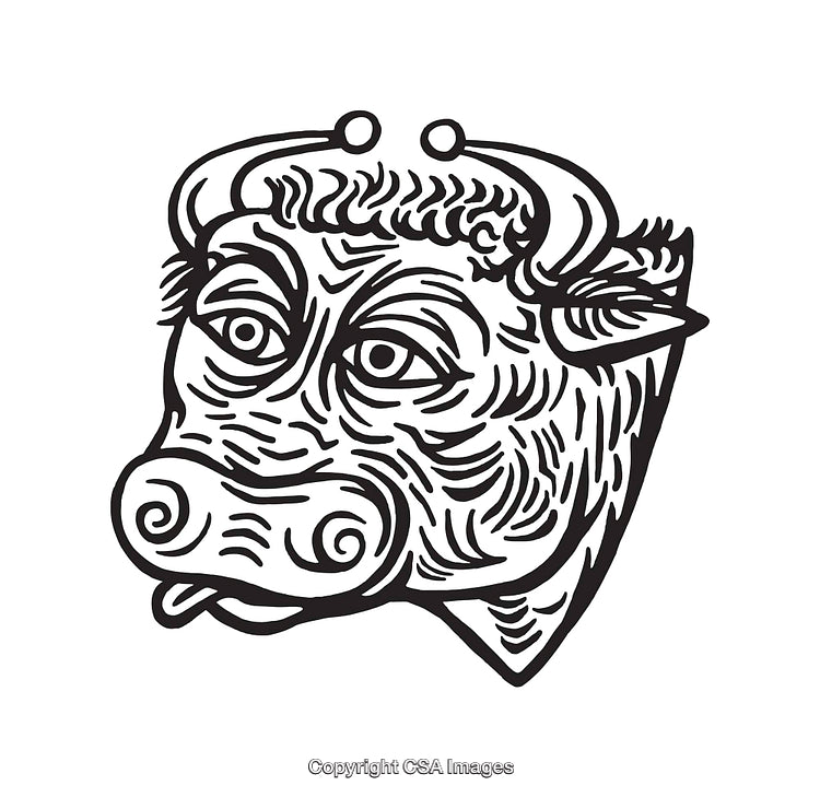 Detailed Black and White Line Art of Stylized Bull Head