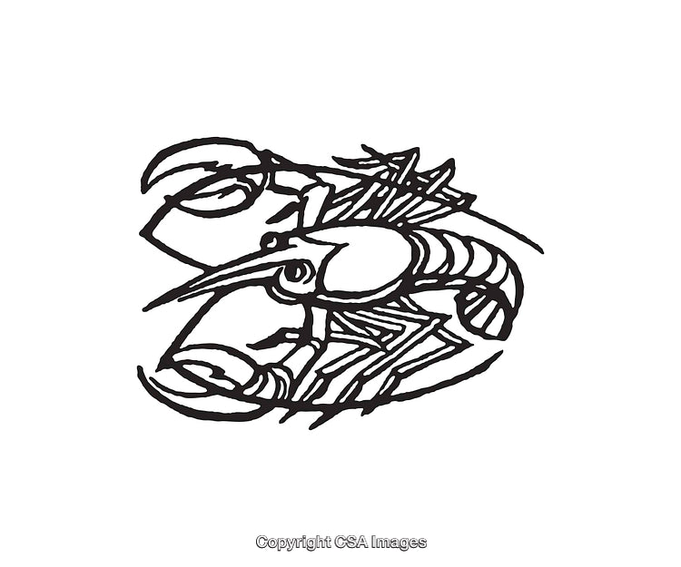 Black and White Line Drawing of a Lobster Design
