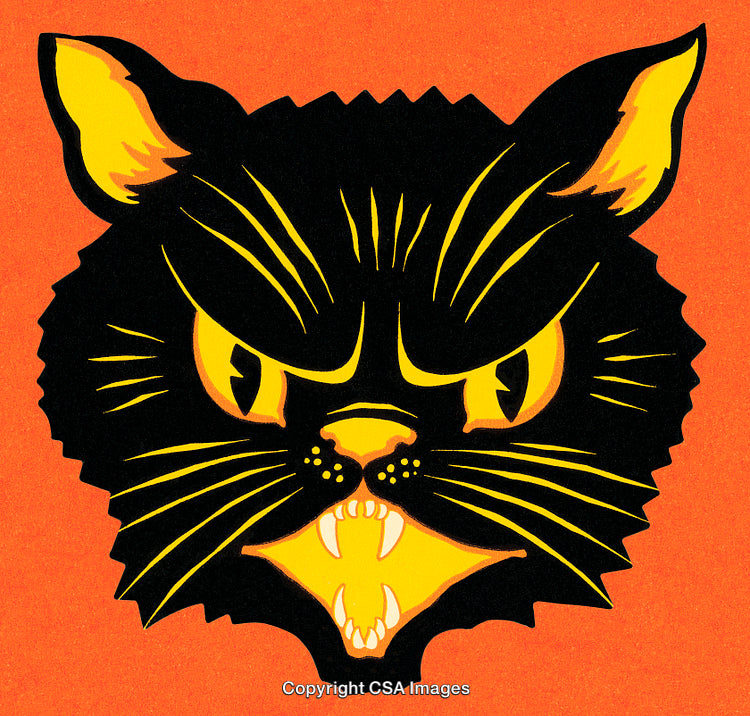 Vintage Illustration of a Fierce Black Cat on Bright Orange Background