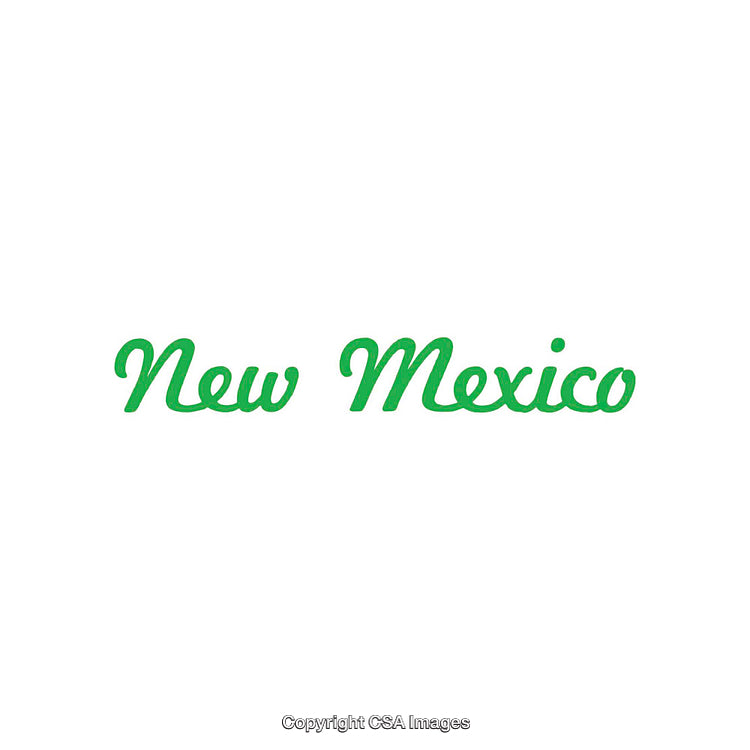 Green Calligraphic New Mexico Text on a Clean White Background