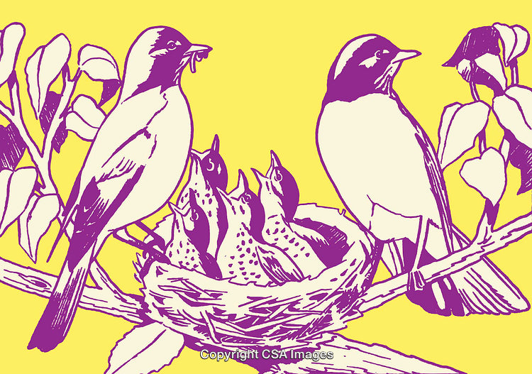 Illustrated Birds Feeding Chicks in Nest Amid Foliage