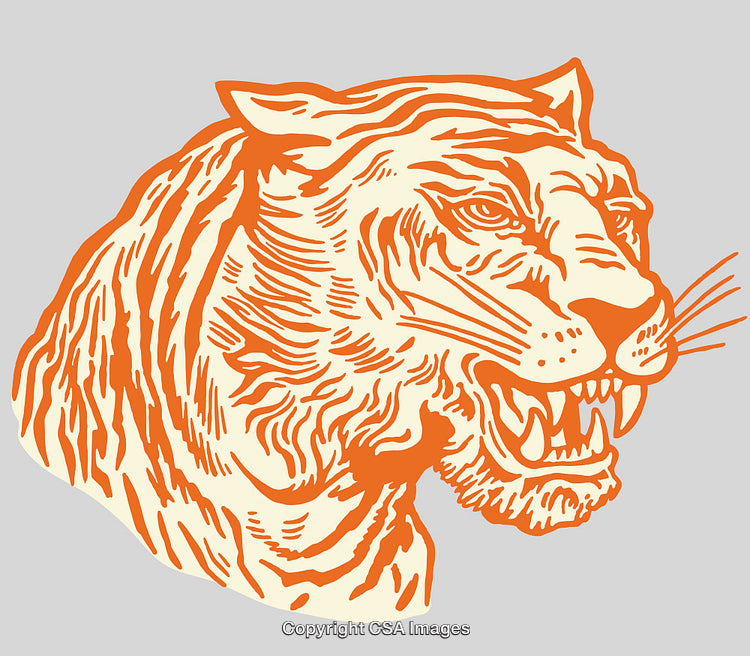 Intricate Line Art Illustration of a Detailed Tiger Head Design