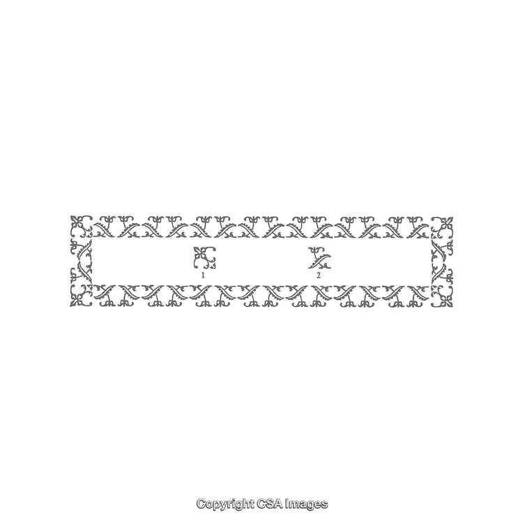 Elegant Ornamental Pattern Design with Decorative Border Elements in Black and White
