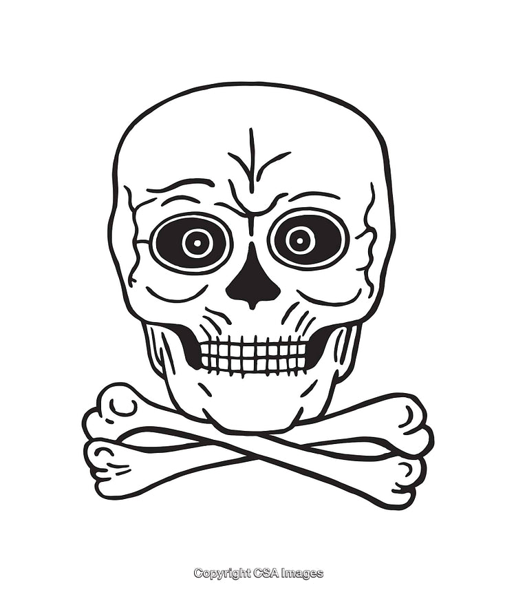 Black and White Skull with Crossbones Line Art Illustration