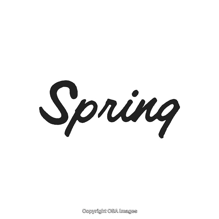 Elegant Handwritten Spring Text Isolated on White Background