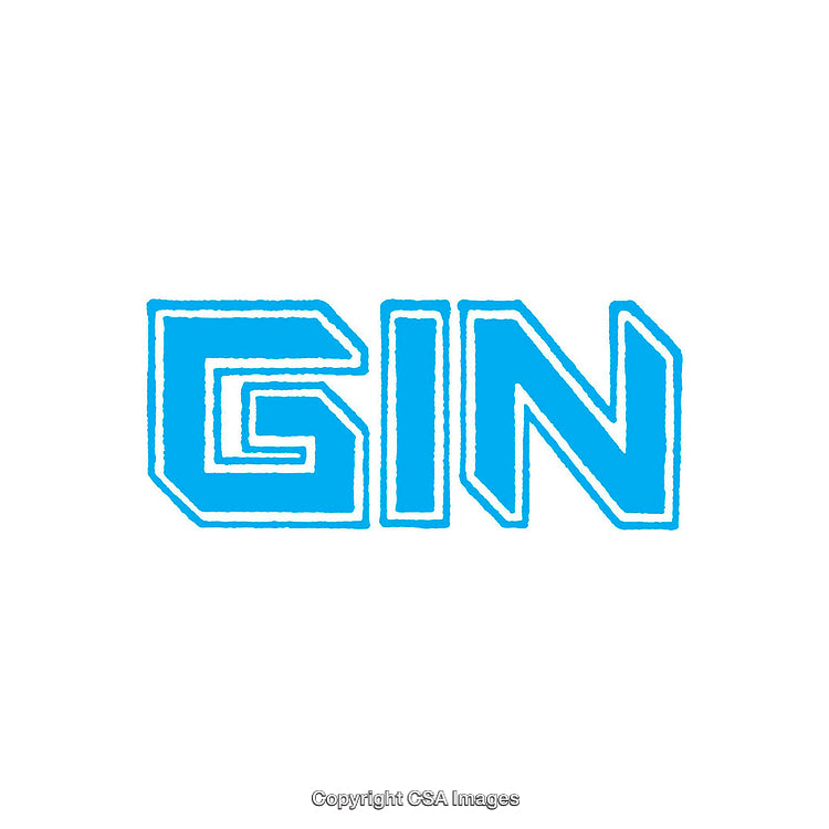 Stylized Blue Text Logo of the Word 'GIN' on White Background