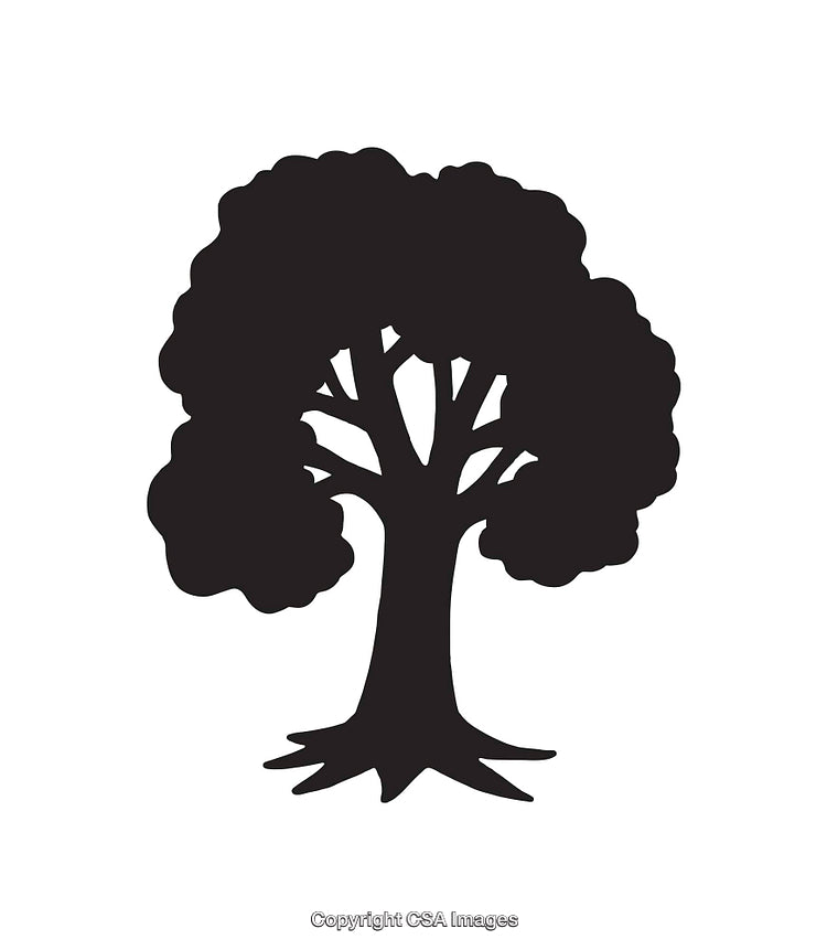 Black and White Silhouette of a Tree for Designs or Logos