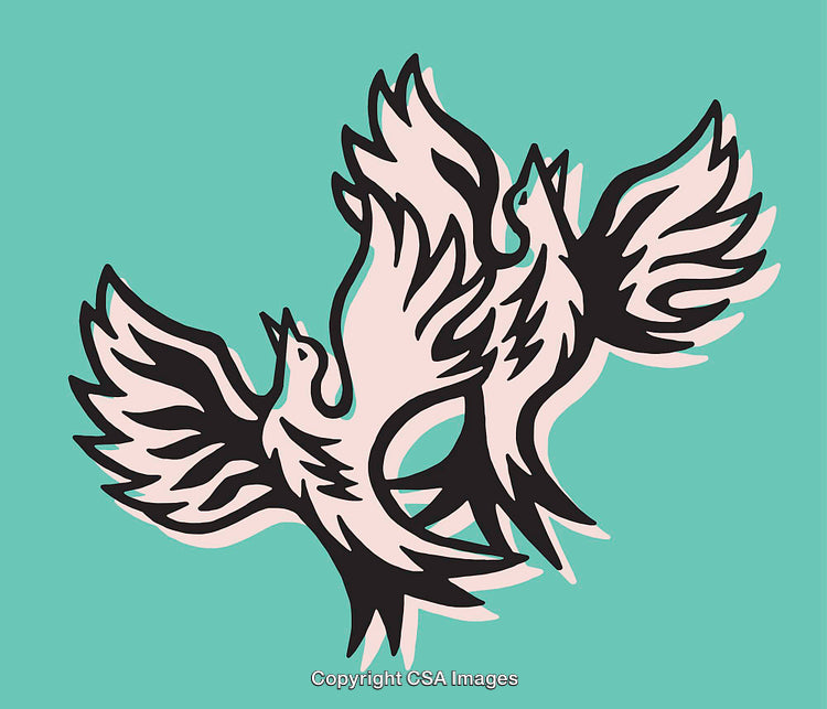Abstract Line Art Depicting Two Flying Birds with Dynamic Wings