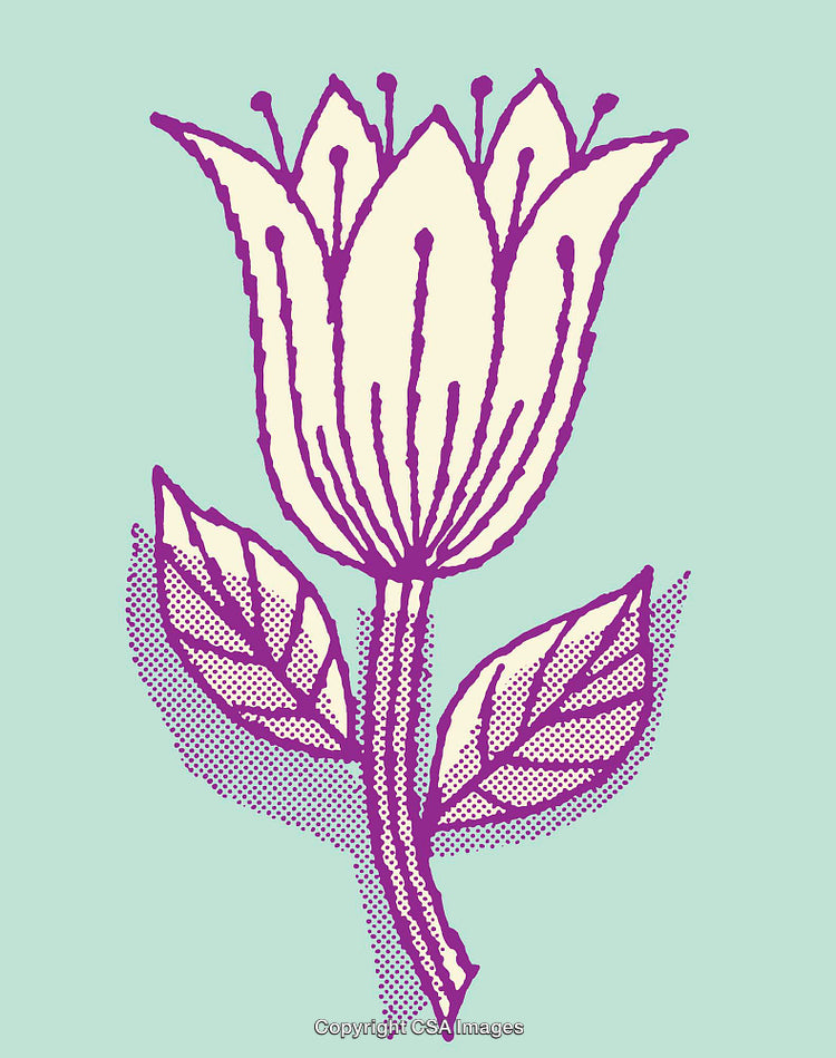 Vibrant Floral Illustration With Colorful Line Art On Light Background