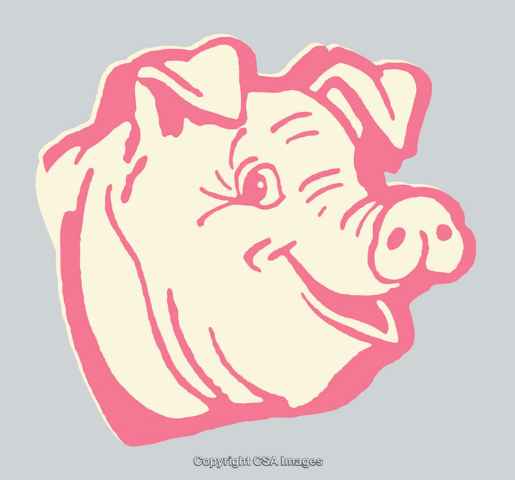 Stylized Line Art Illustration of a Smiling Pink Pig Face