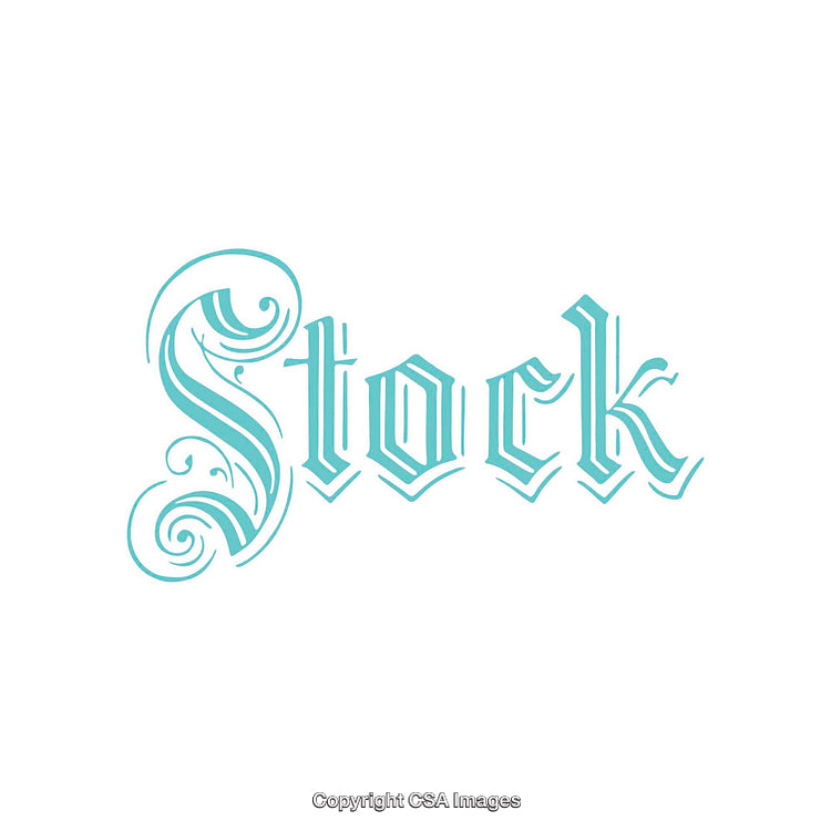 Elegant Ornamental Typography in Stylish Display Text