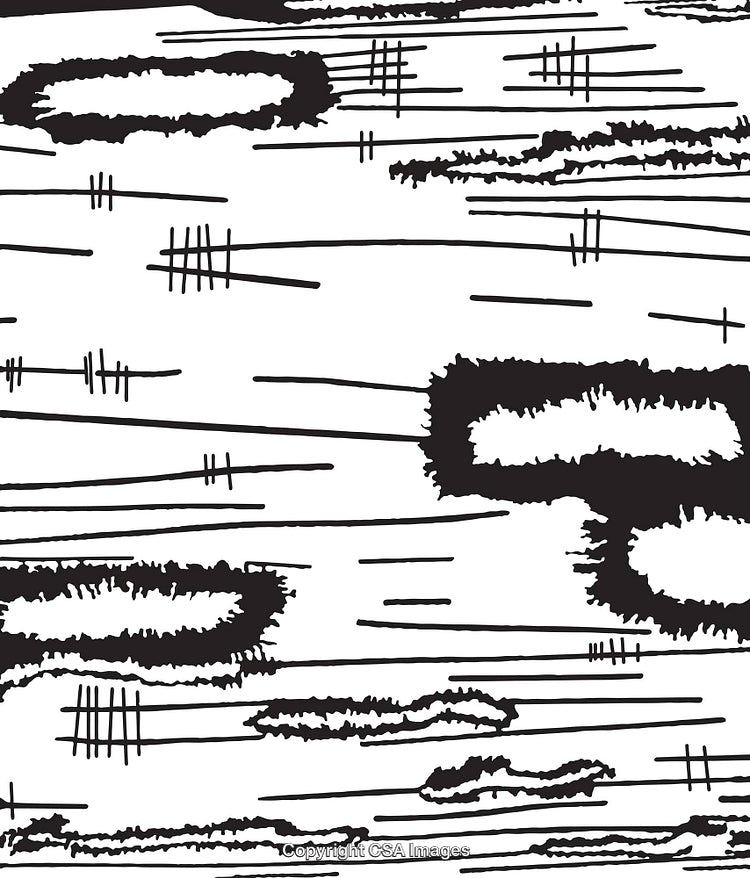 Black and White Abstract Pattern With Line Details