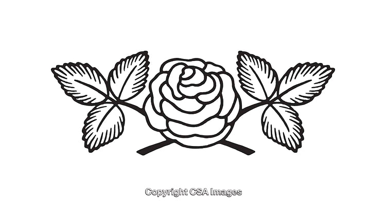 Elegant Black and White Line Art of a Rose with Leaves