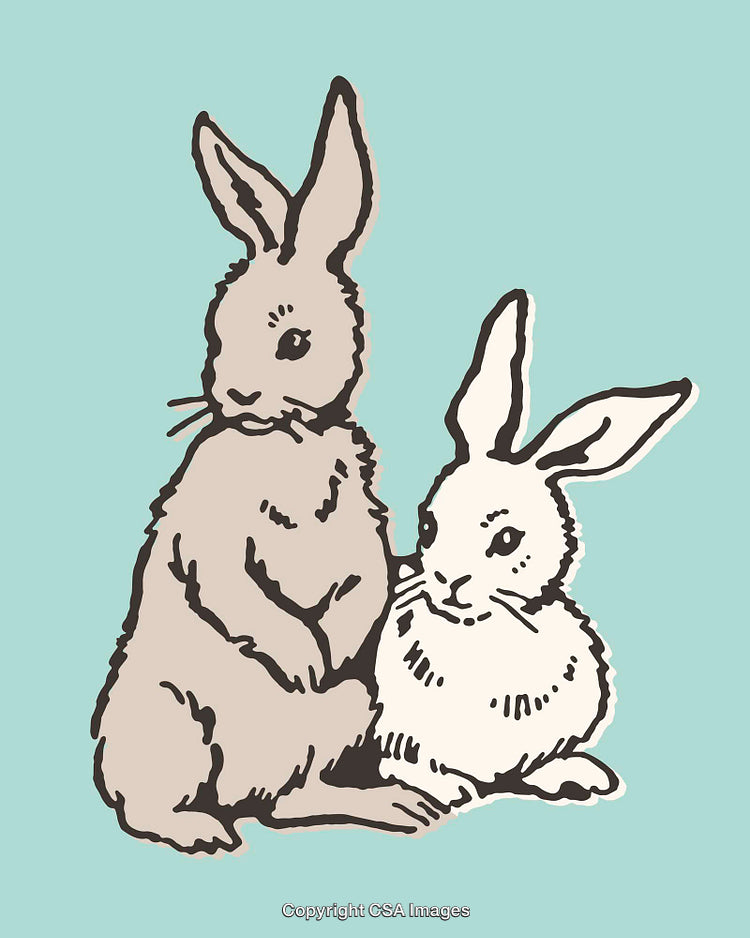 Two Cute Rabbits Illustrated on a Light Teal Background