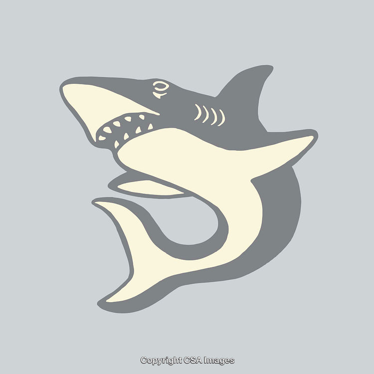 Minimalist Illustration of a Shark Emblem in Abstract Design
