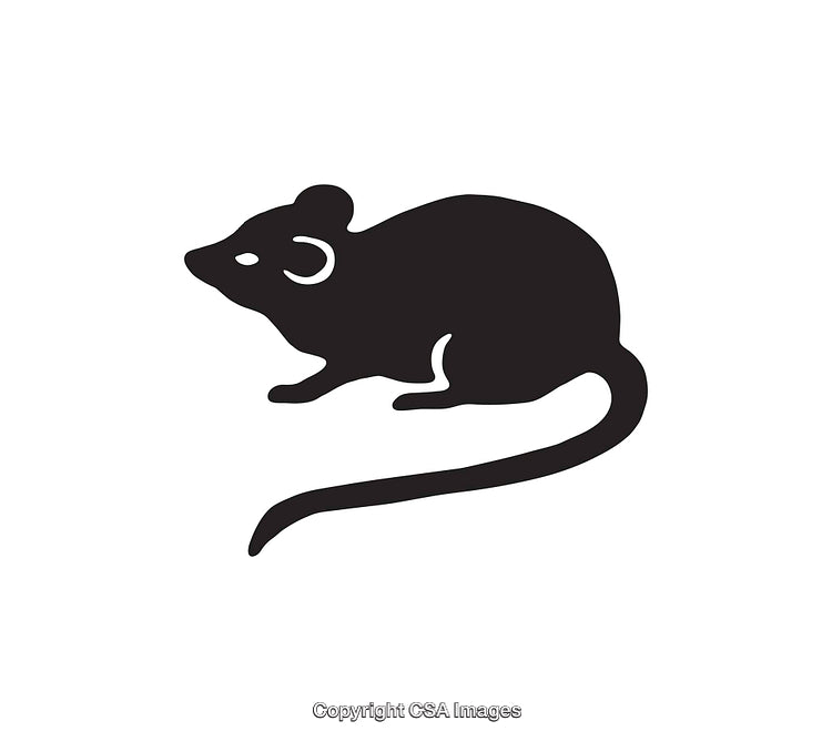 Icon of a Black Silhouette Mouse on a White Background