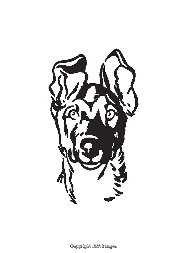 Detailed Black and White Line Art of a Dog's Face Illustration