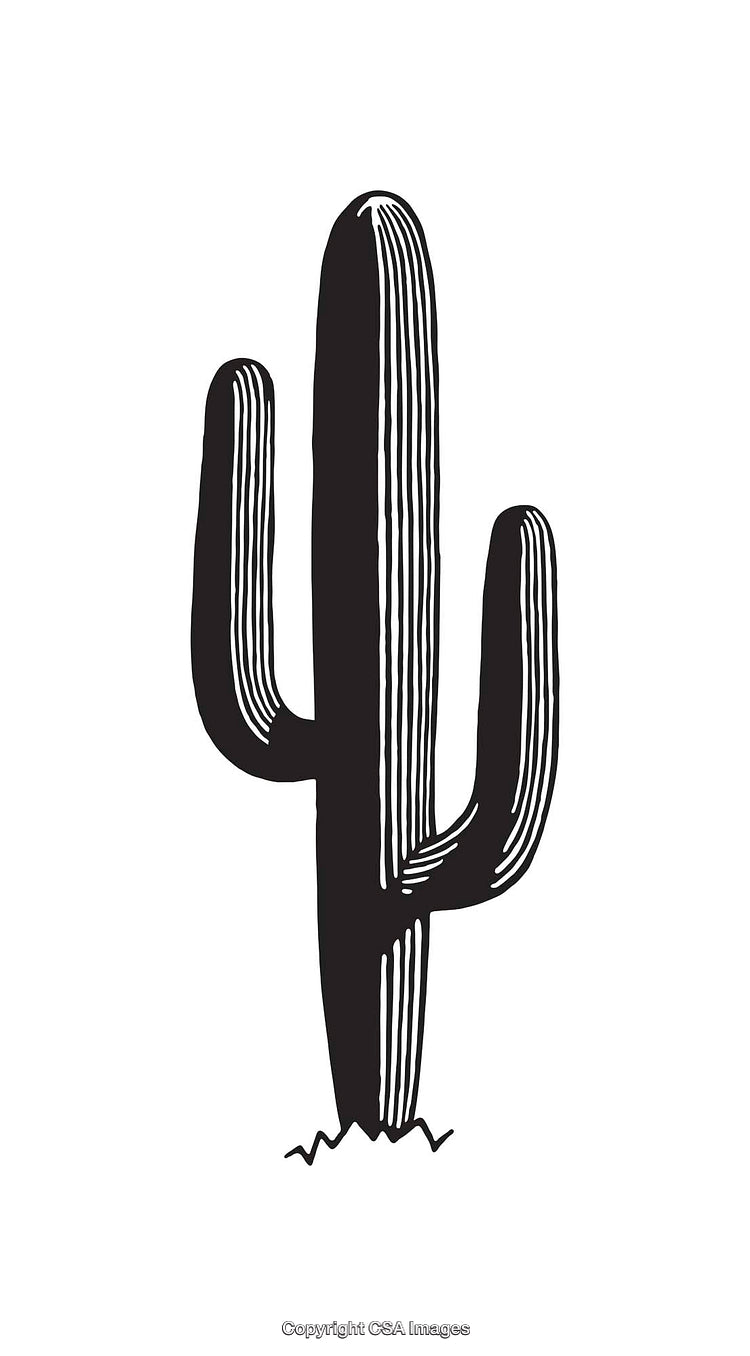 Black And White Line Art Illustration of a Decorative Cactus