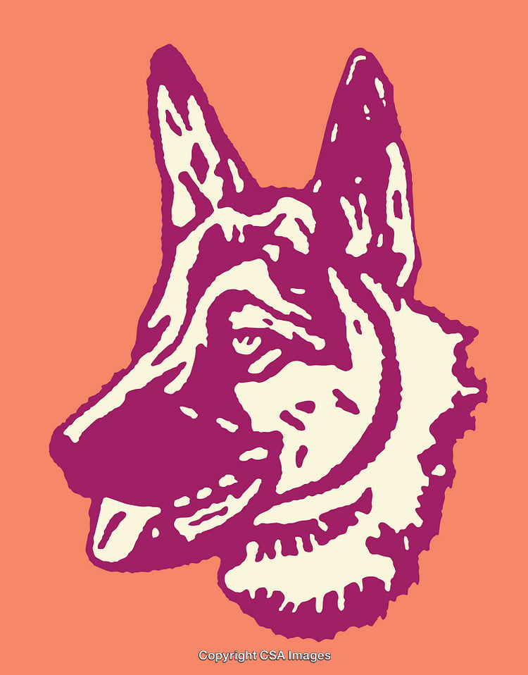 Color Line Art Illustration of a Dog's Head in Bold Contrast