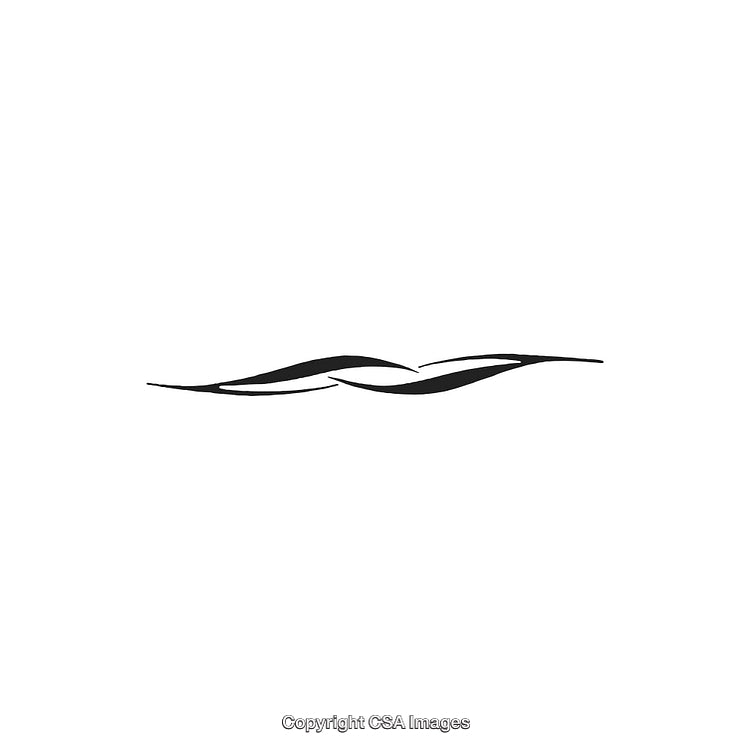 Minimalist Black and White Decorative Ornament Design with Fluid Shapes