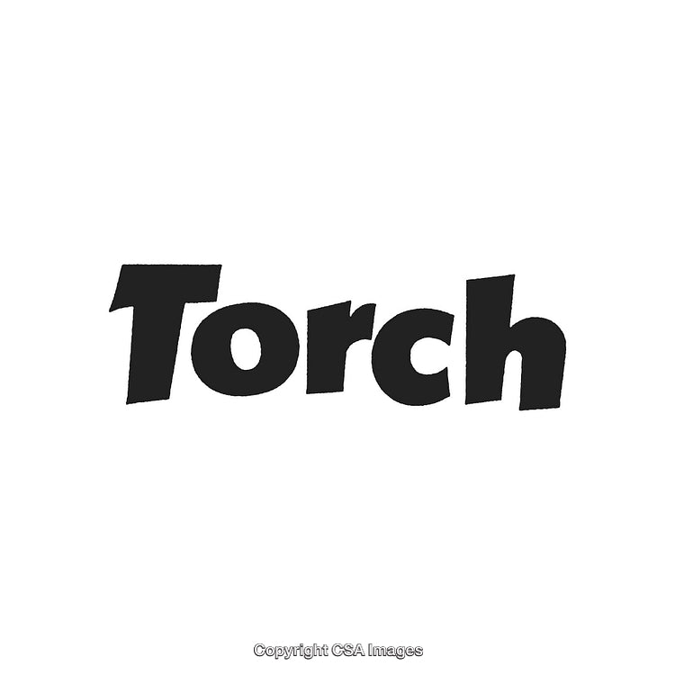 Black Bold Text Displaying the Word 'Torch' on White Background