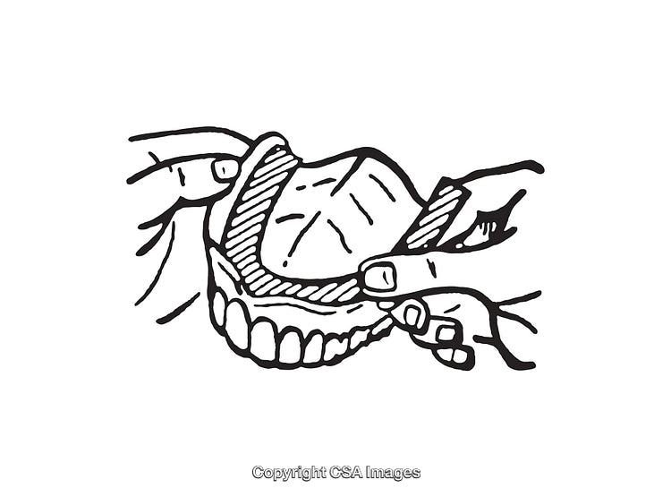 Black And White Line Drawing of Dentures Being Held By Hands
