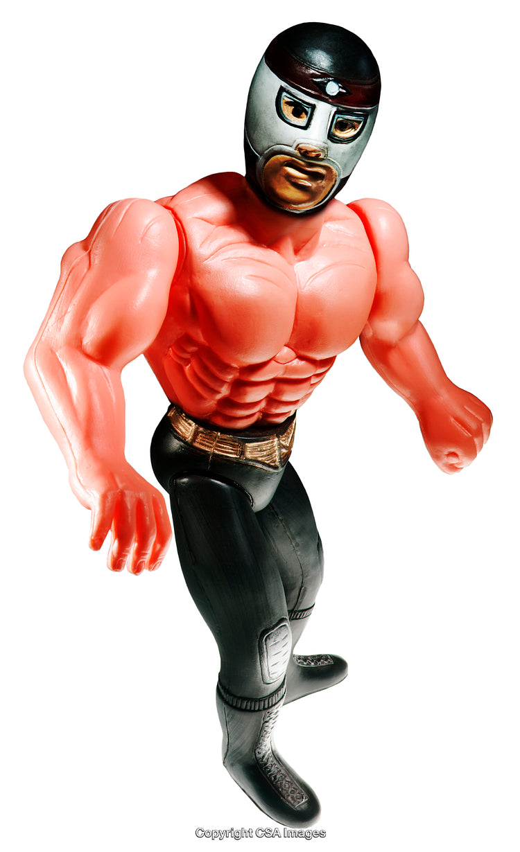 Action Figure Depicting Muscular Wrestler Masked in Colorful Costume