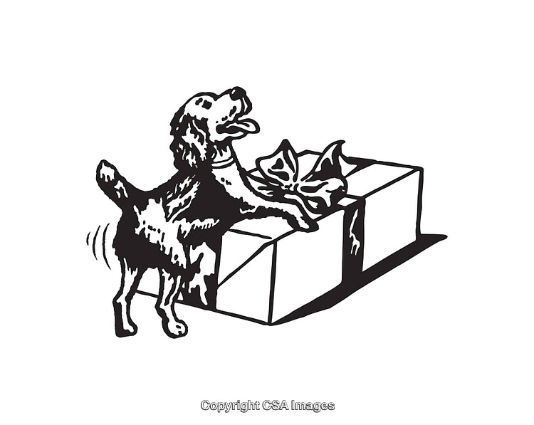 Playful Dog Excitedly Interacting With a Gift Wrapped Present