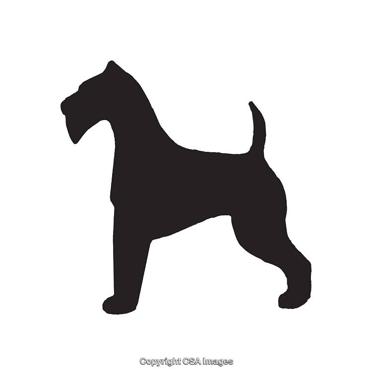 Silhouette of a Dog Standing in Profile View