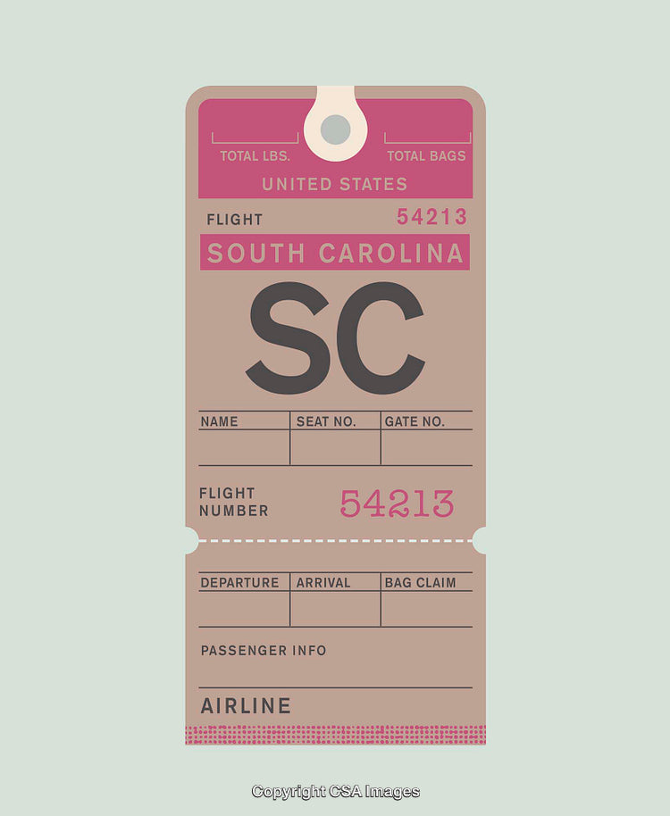 Vintage Airline Tag Design Featuring South Carolina State and Flight Details