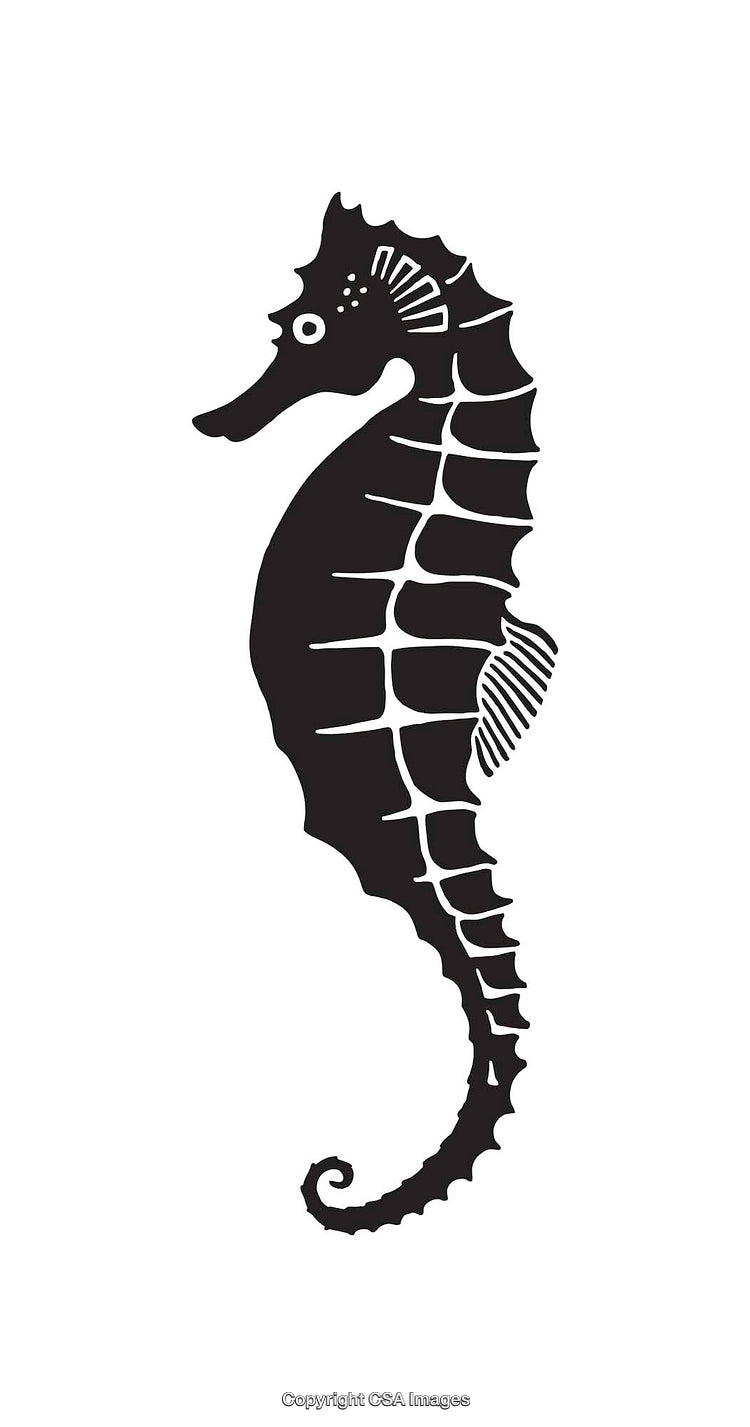 Black and White Seahorse Line Art Illustration